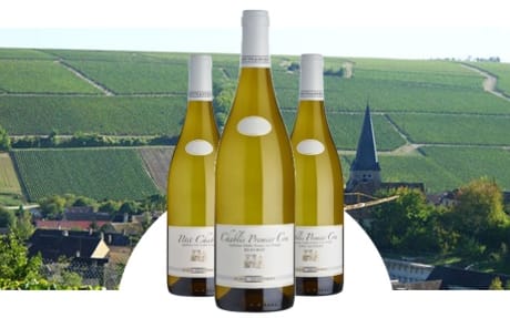 Domaine Alain Geoffroy