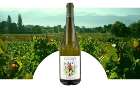 Domaine Giachino