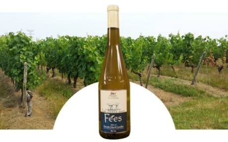Domaine de la Coche