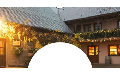 Vins Schoenheitz