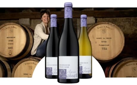 Domaine Agnès Paquet