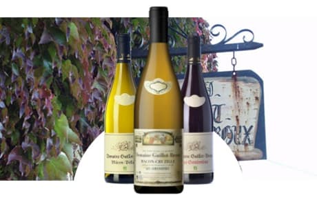 Domaine Guillot-Broux