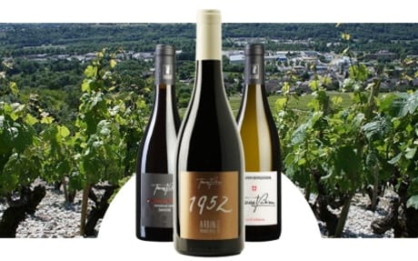 Domaine Trosset Fabien