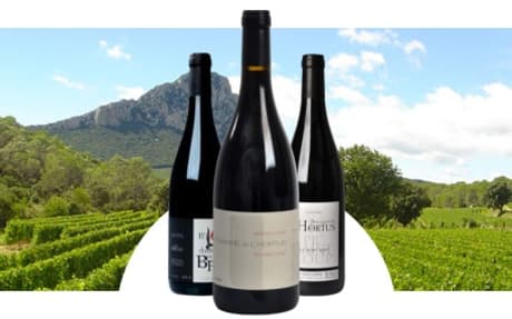 Domaine de l'Hortus