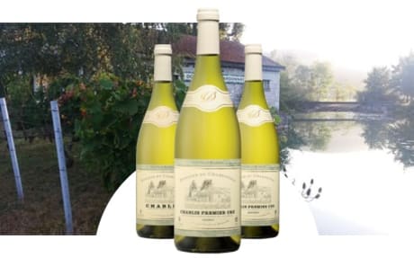 Domaine du Chardonnay