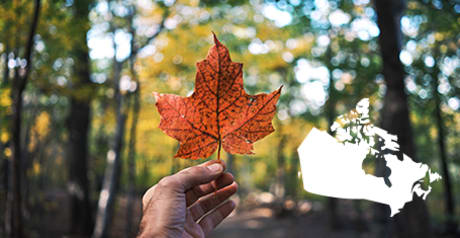 Vins Le Canada