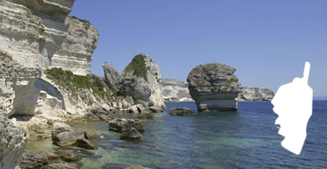 Figari