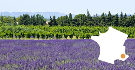 Bandol