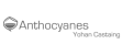 Anthocyanes - Yohan Castaing