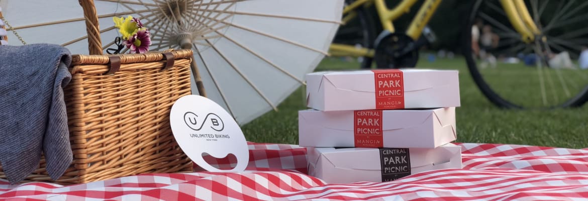 Central Park Picnic & Full Day Bike Rental 1