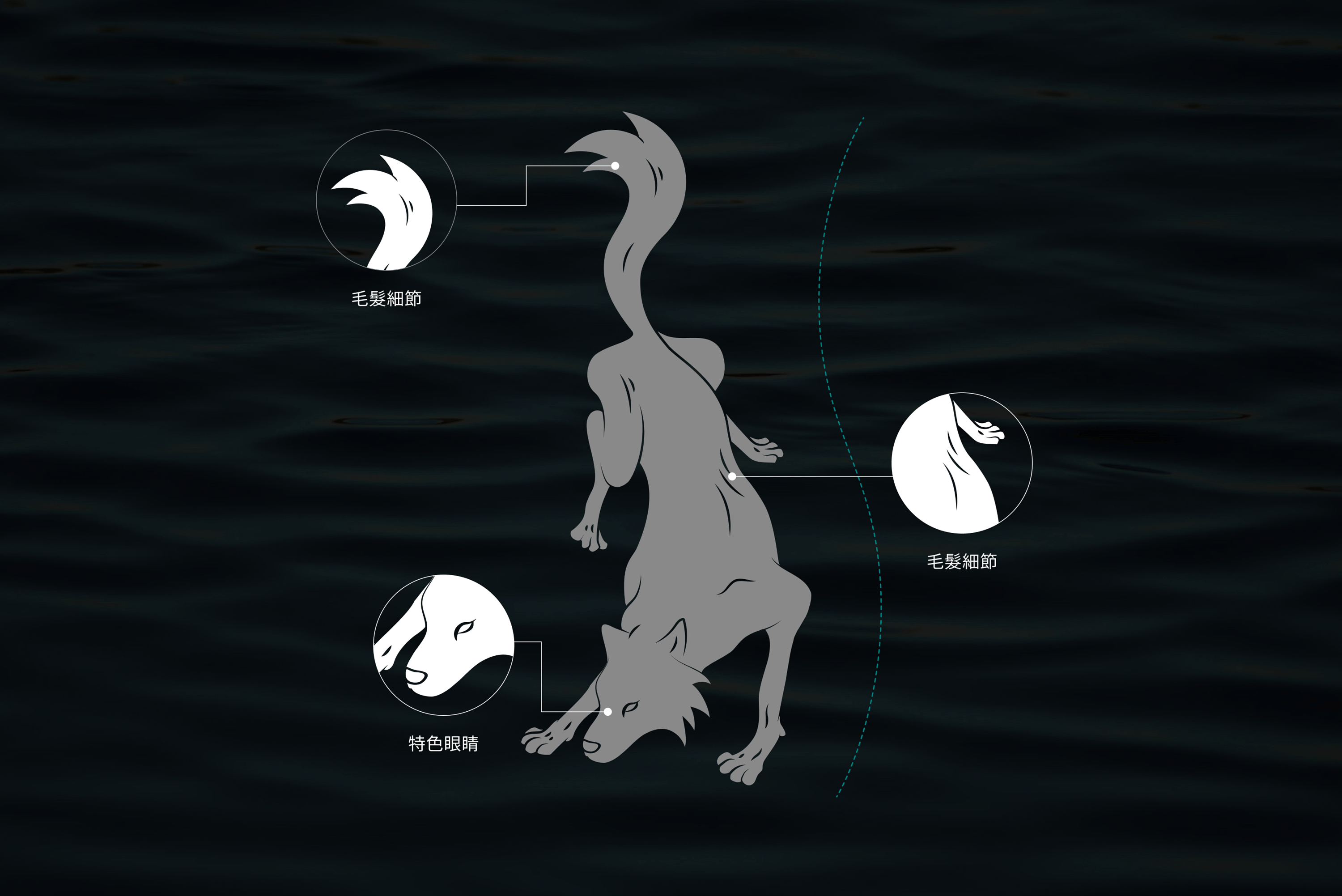 動圖：WOLFOW狼的繪製細節說明，和標誌型態