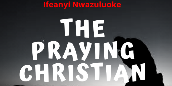 THE PRAYING CHRISTIAN image