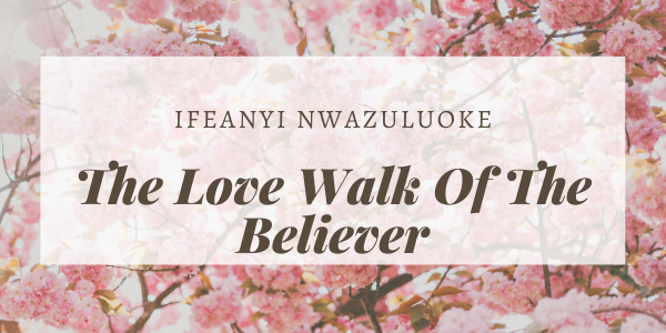 THE LOVE WALK OF THE BELIEVER image