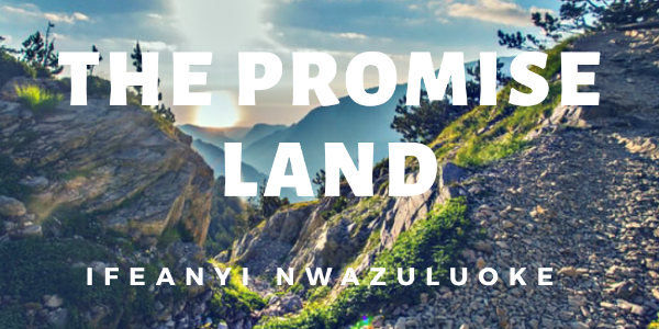THE PROMISE LAND image