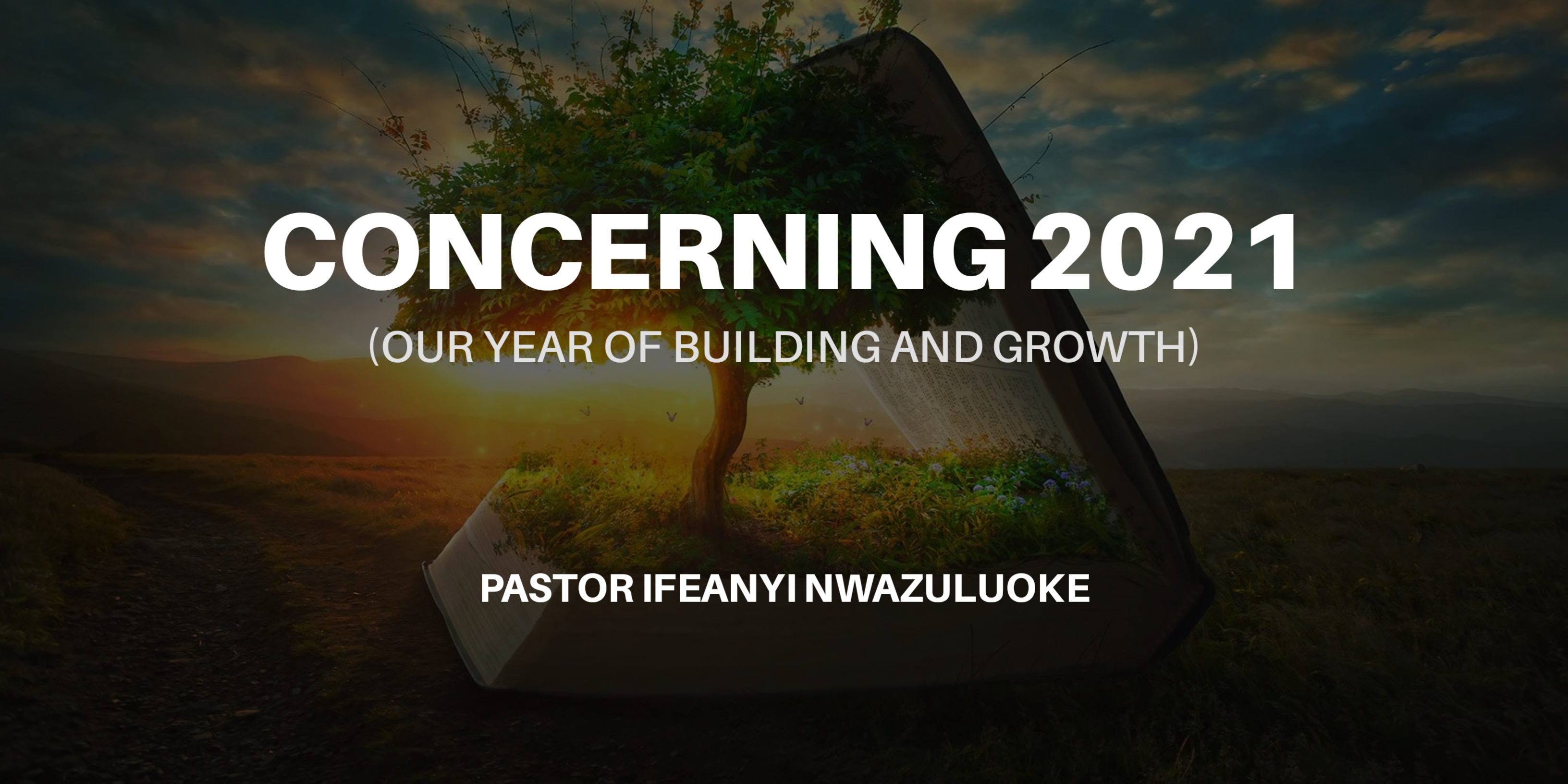 CONCERNING 2021( OUR YEAR OF BUILDING AND GROWTH) image