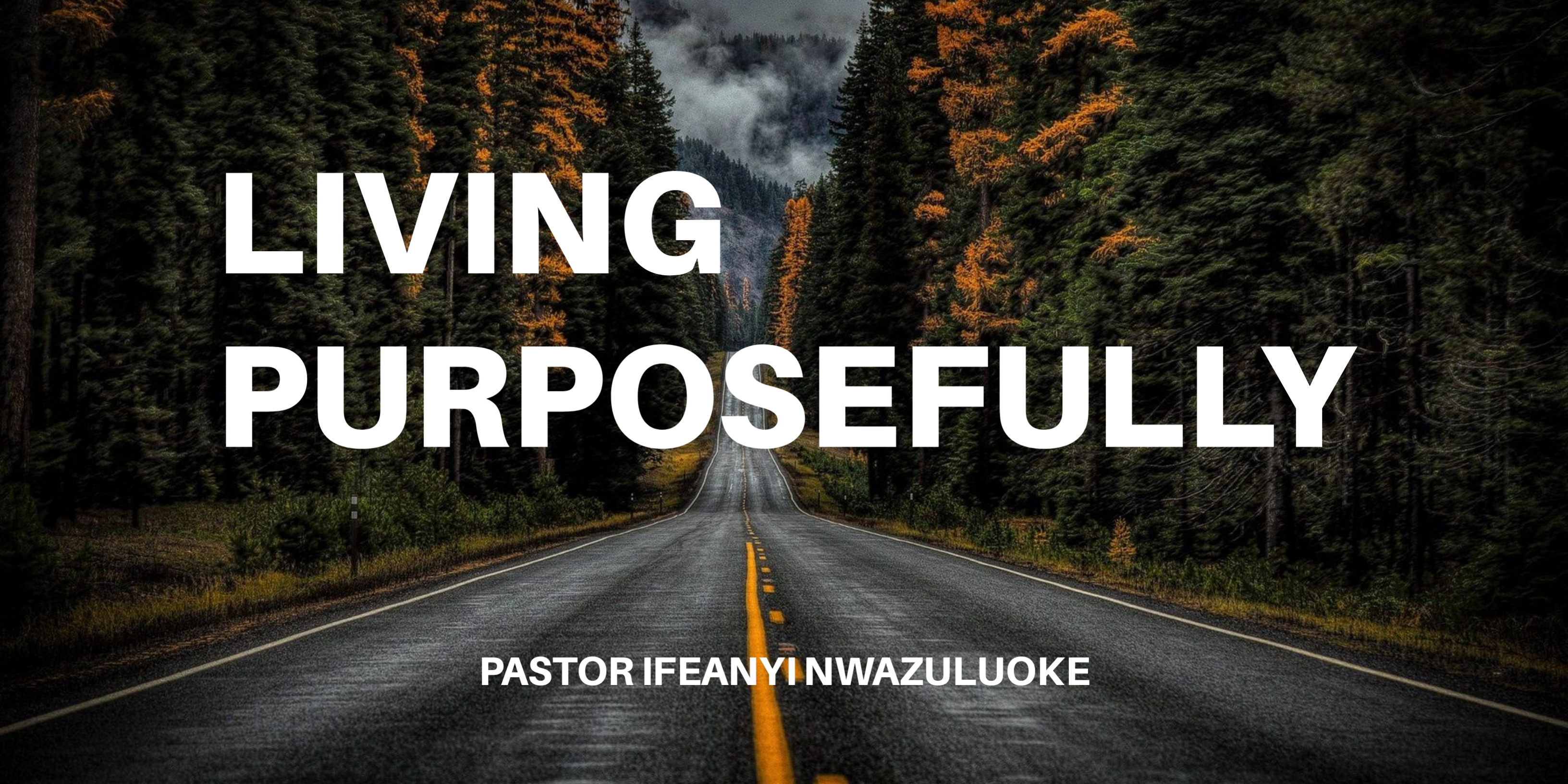 LIVING PURPOSEFULLY  image
