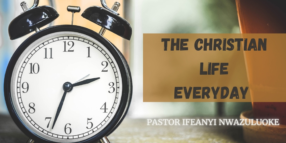 THE CHRISTIAN LIFE EVERYDAY  image