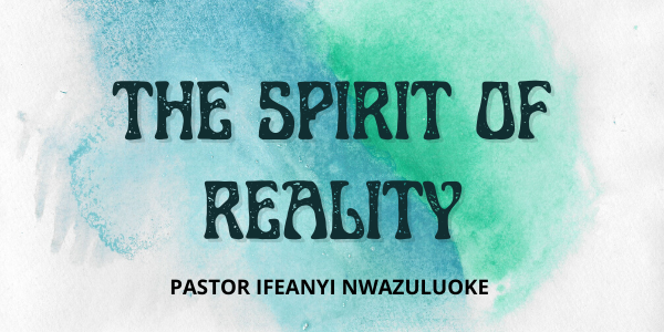 THE SPIRIT OF  REALITY  image