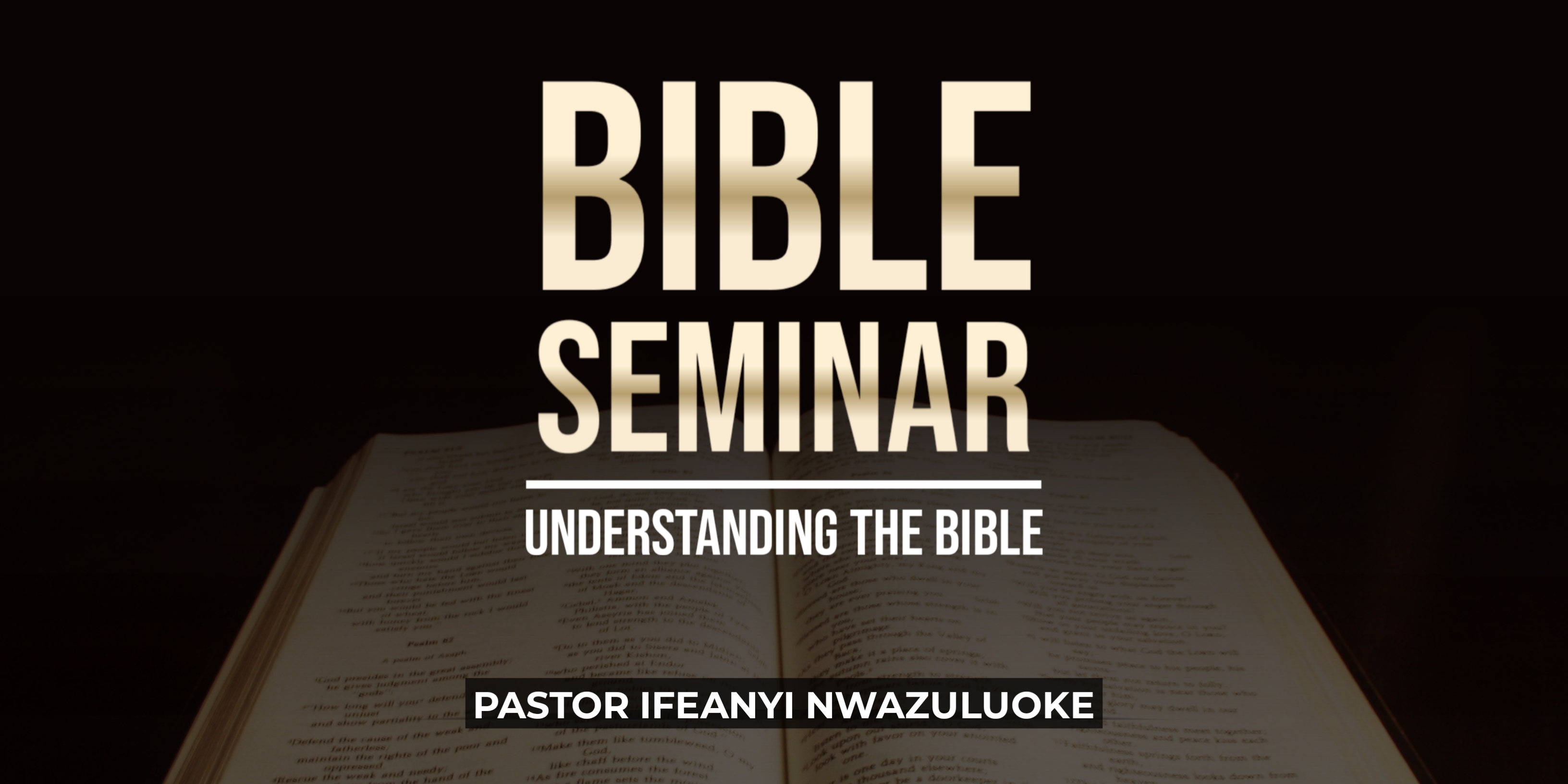 BIBLE SEMINAR (UNDERSTANDING THE BIBLE SERIES)  image