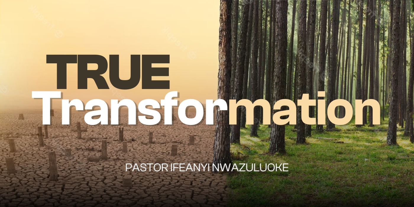 TRUE TRANSFORMATION image