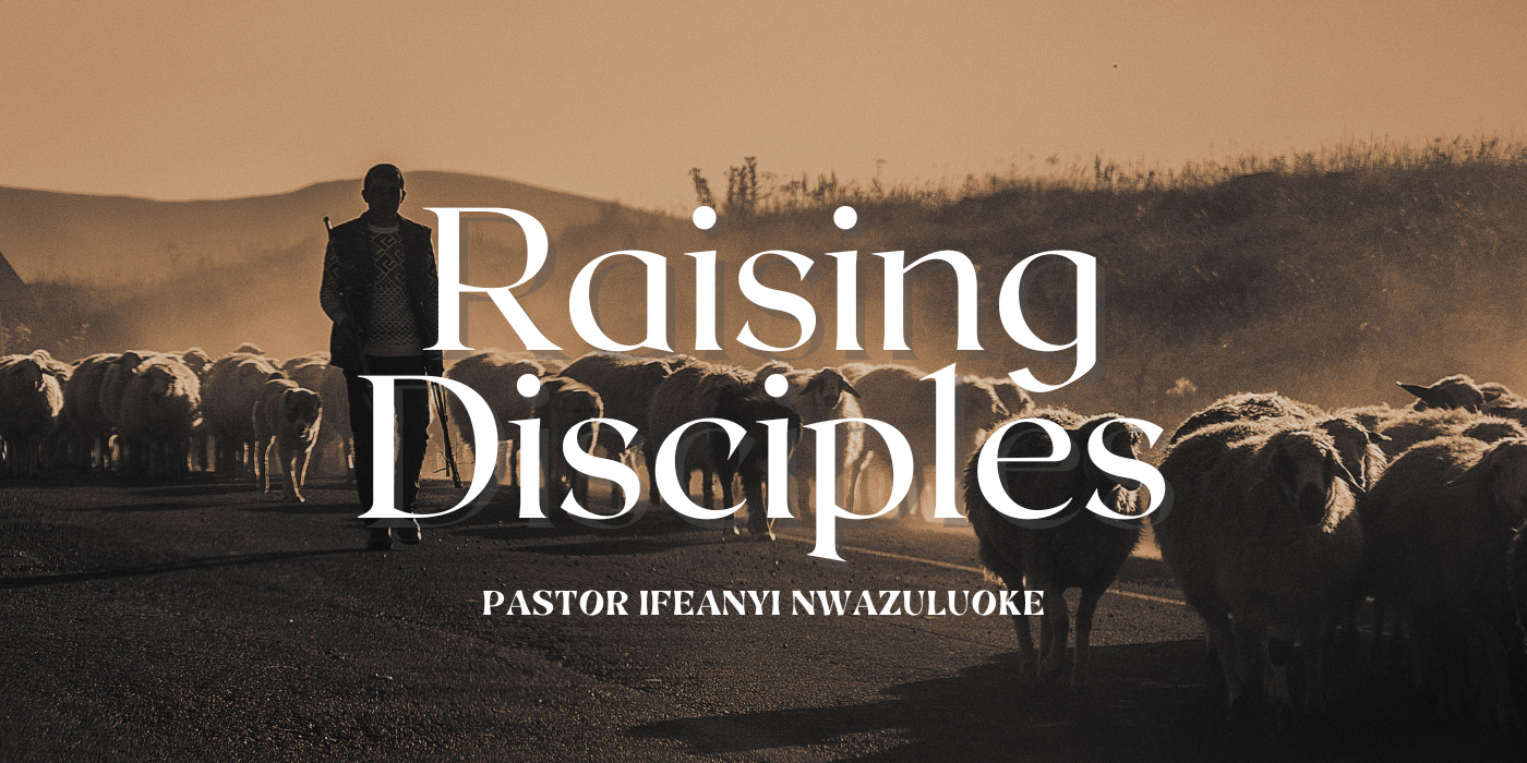 RAISING DISCIPLES image