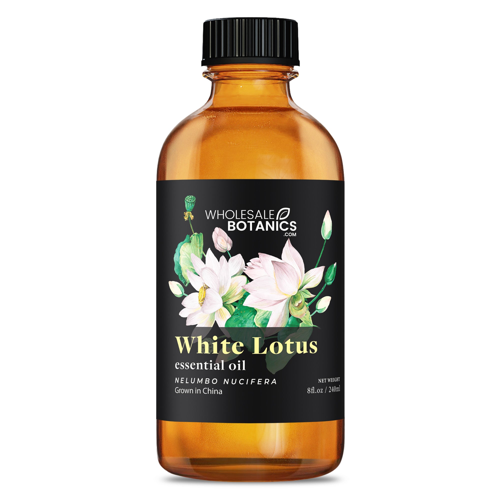 LOTUS WTGLOW FW OIL CON280