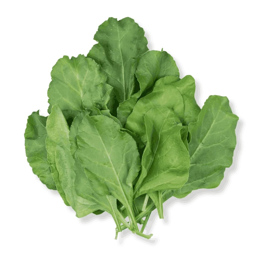 Palak (पालक)
