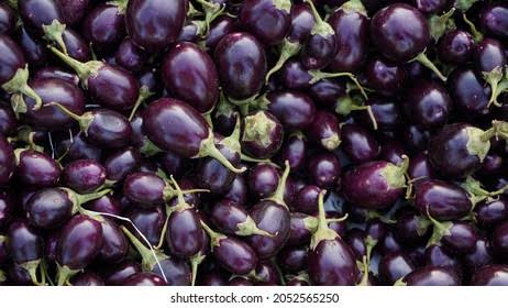 Brinjal Bhata 500gm