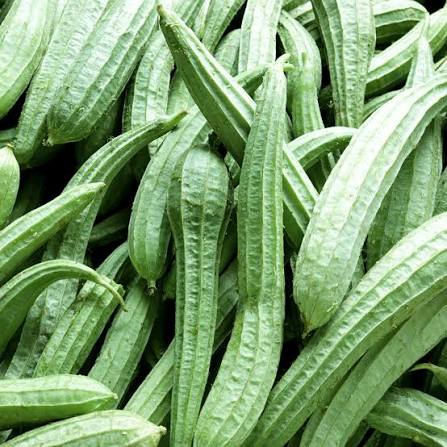 Torai / Ridge Gourd 500gm