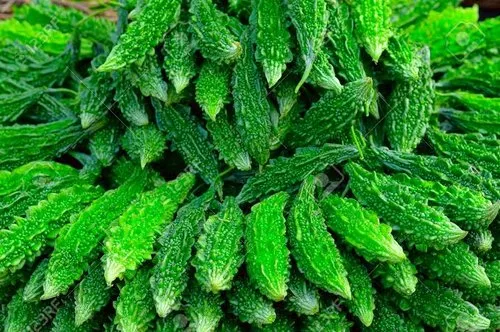 Karela 500gm