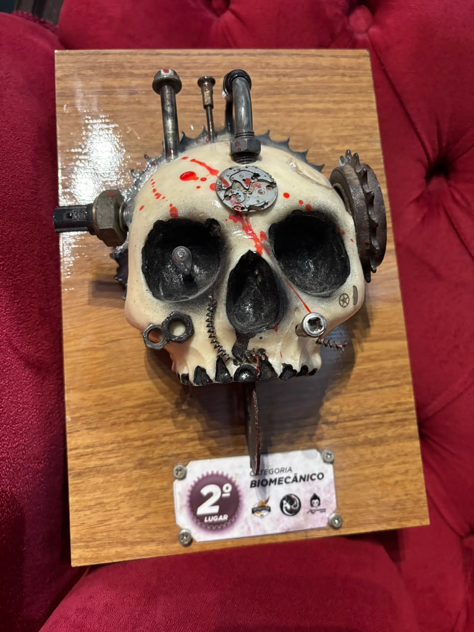 1er lugar categoría Tribal