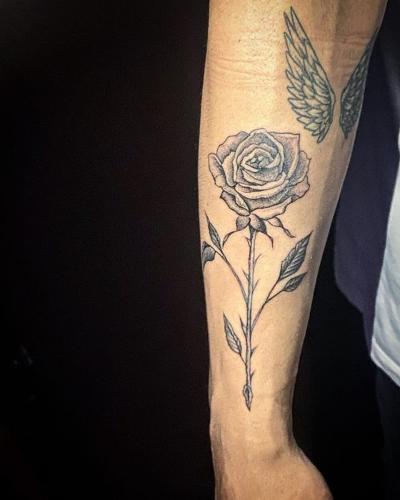 Rosa de trazo lineal, estilo fineline