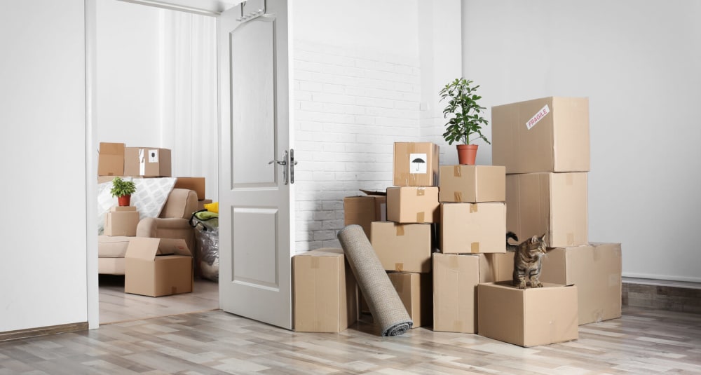 Easy Packing Tips For Moving a Family ...