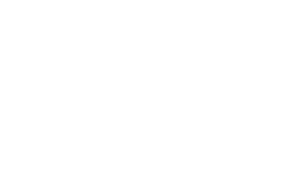 NextHome logo