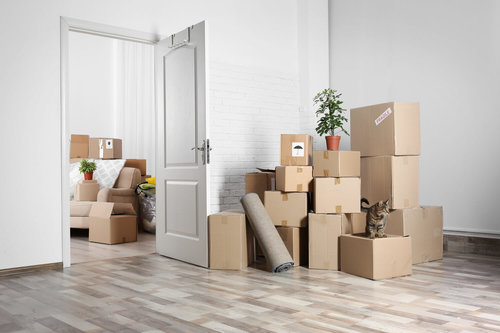 Items You Can't Put on a Moving Truck