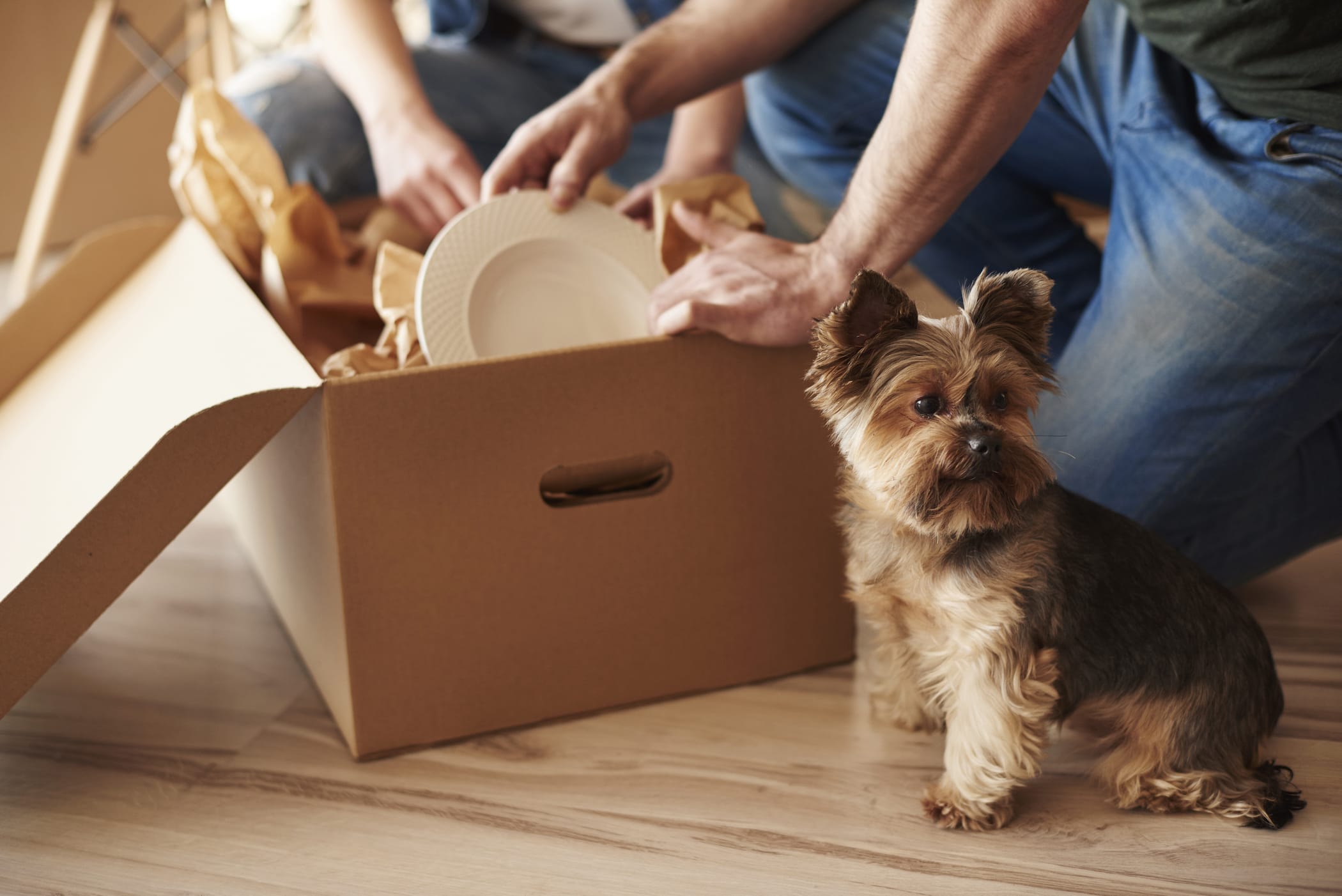 Here’s What to Pack First When Moving