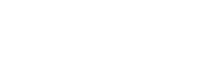 Zip Form Plus logo