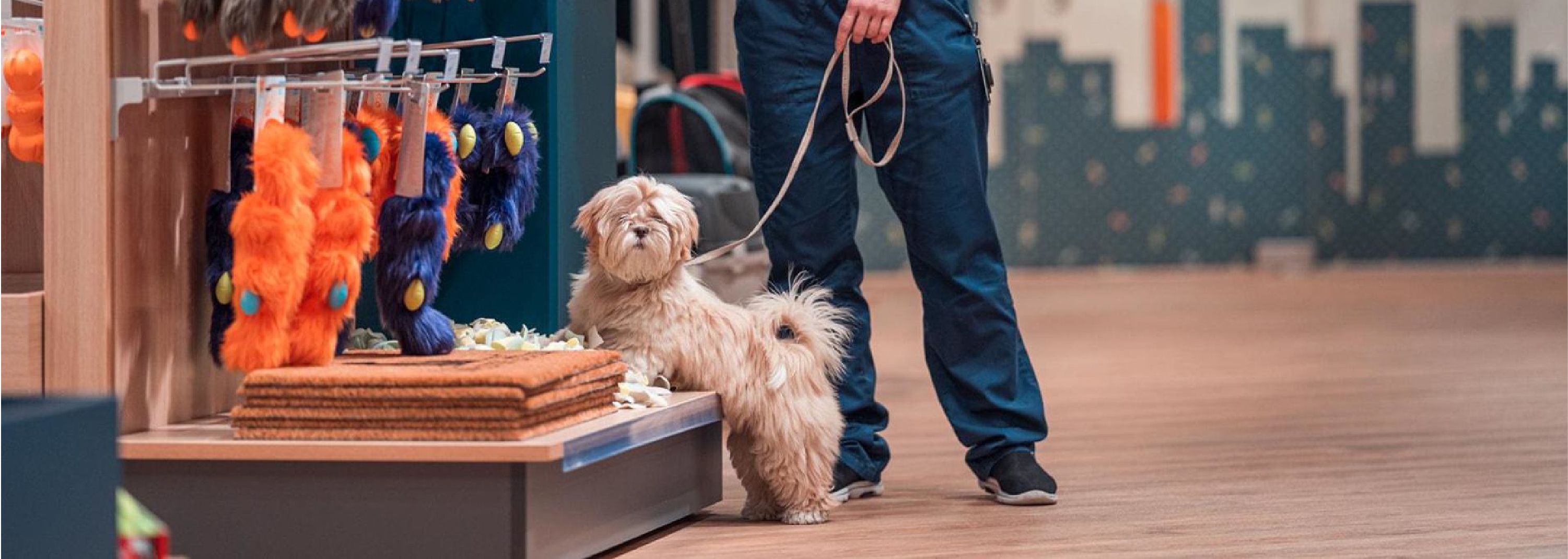 PETCITY KEILA KAUPLUS