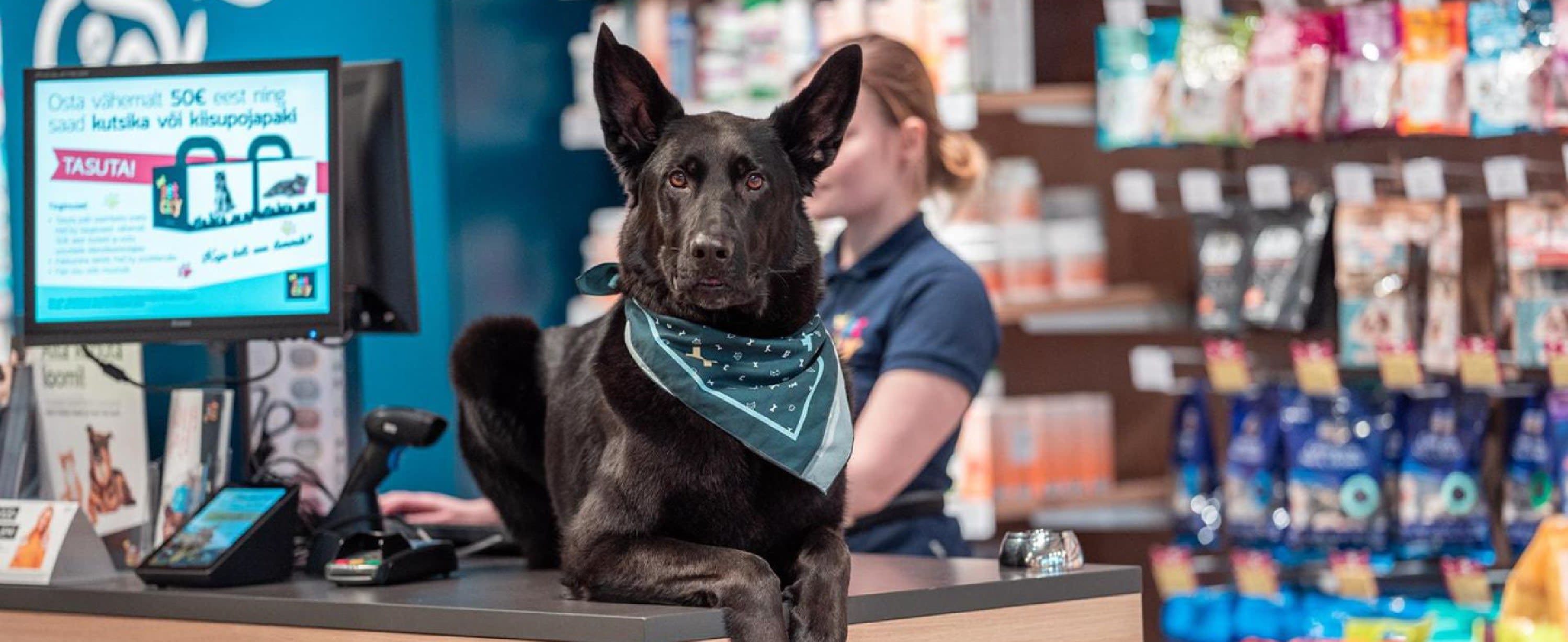 PETCITY KRISTIINE KAUPLUS