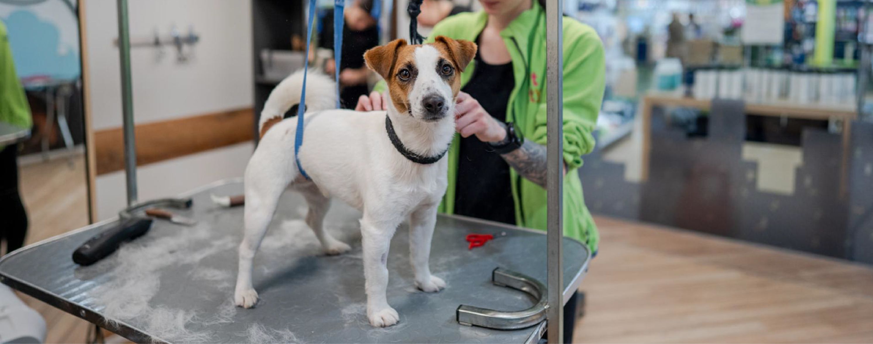 PETCITY PÄRNU KESKUSE GROOMING