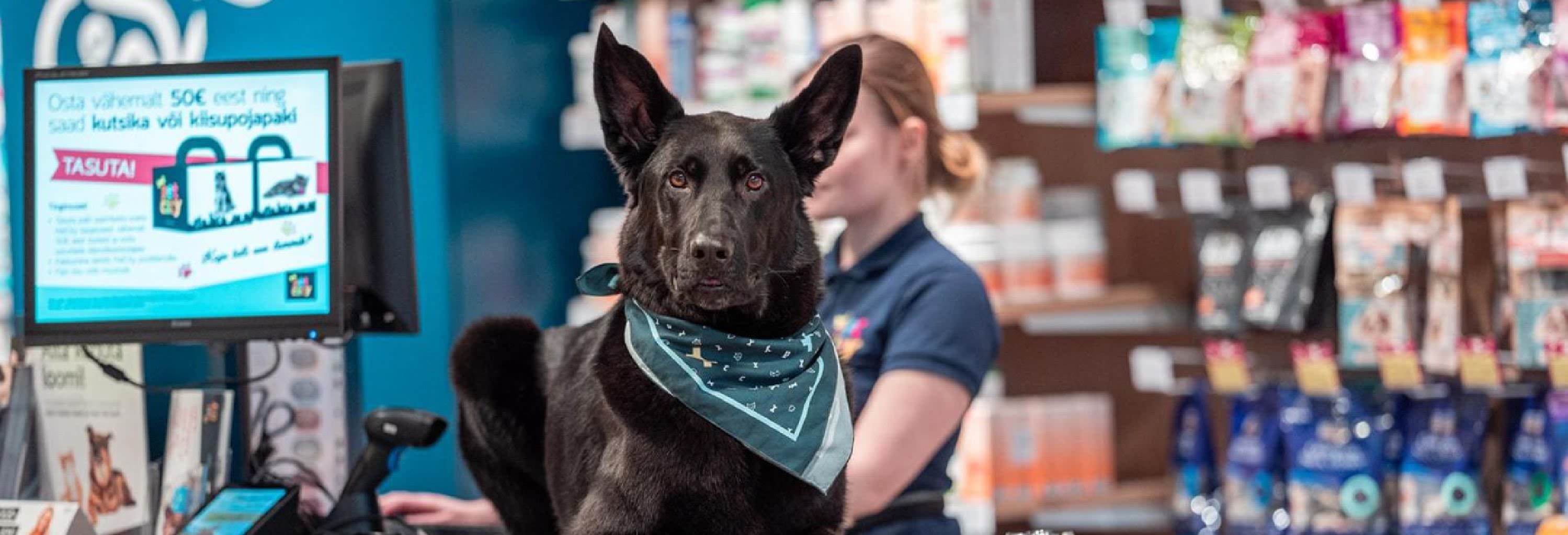 PETCITY KURNA KAUPLUS