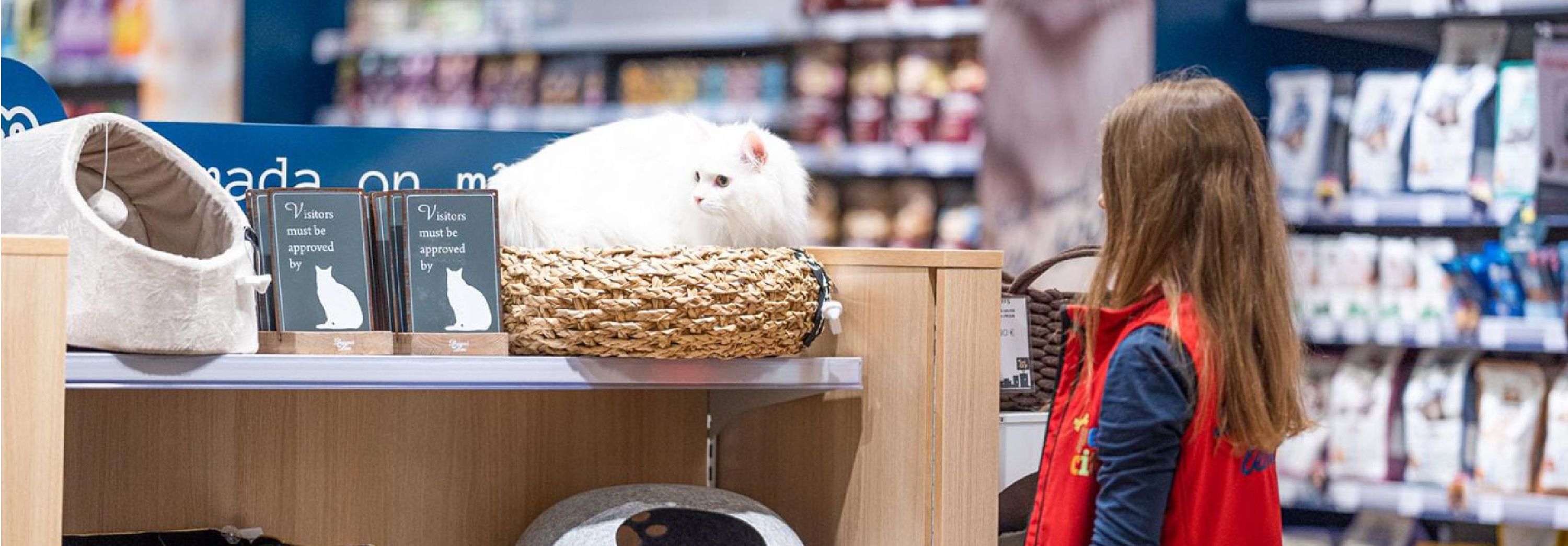 PETCITY ROO KAUPLUS