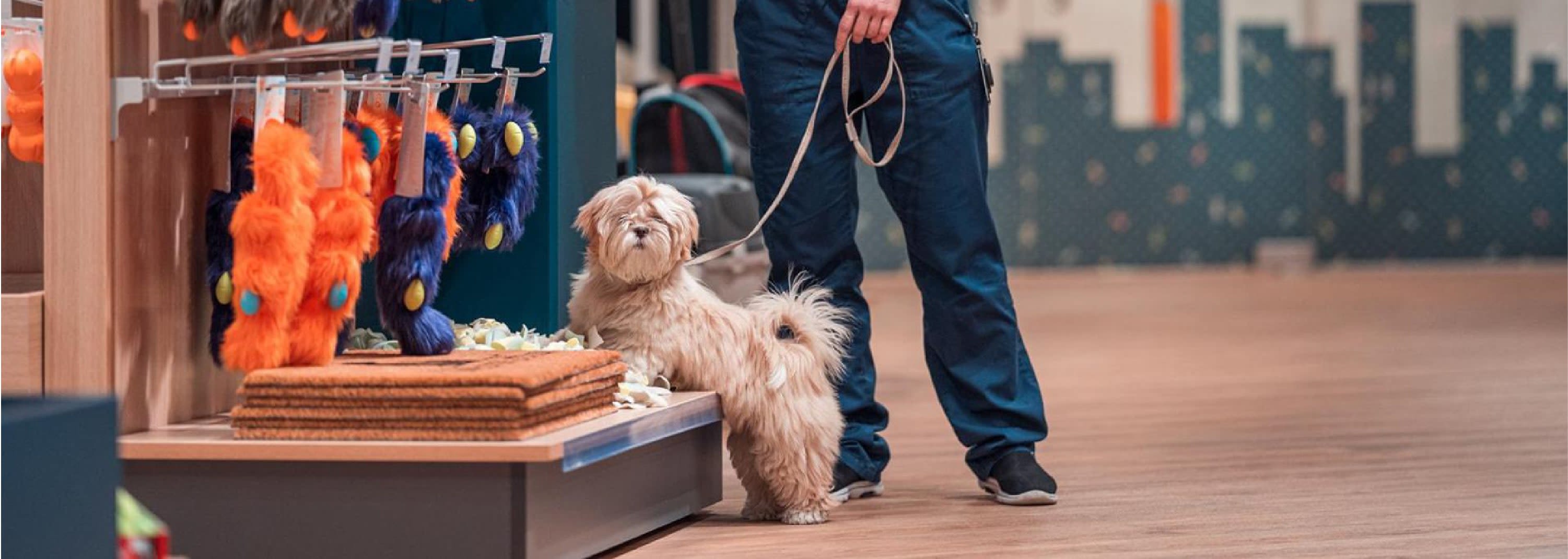 PETCITY JÄRVE KAUPLUS