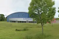 La Salicorne