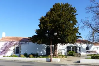 Salle de l'Ardoise Verte