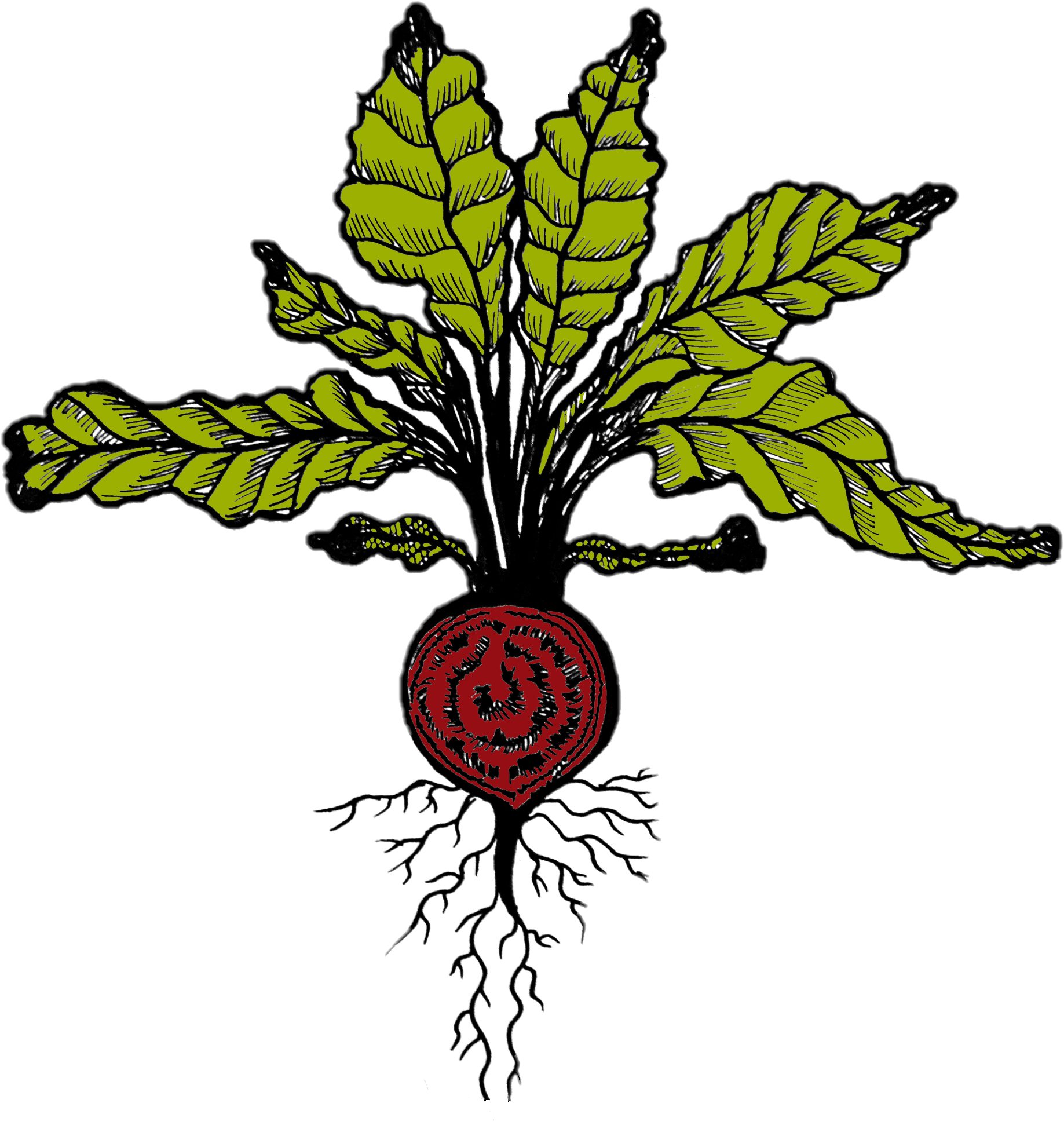 Upserve by Lightspeed