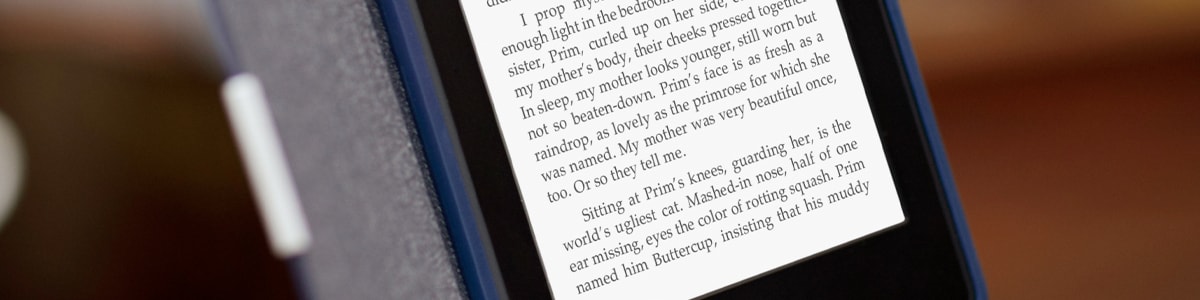 Pros and Cons of Tablets vs. E-Book Readers