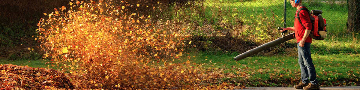 Electric leaf blower problem. 