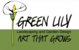 Green Lily Garden Design and Landscaping