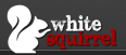 White Squirrel Design Studio